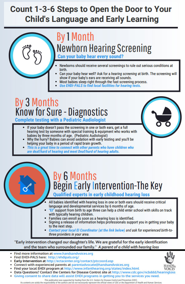 image of the 1-3-6 Infographic